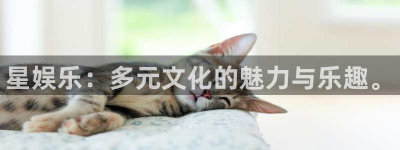 mg不朽情缘主管