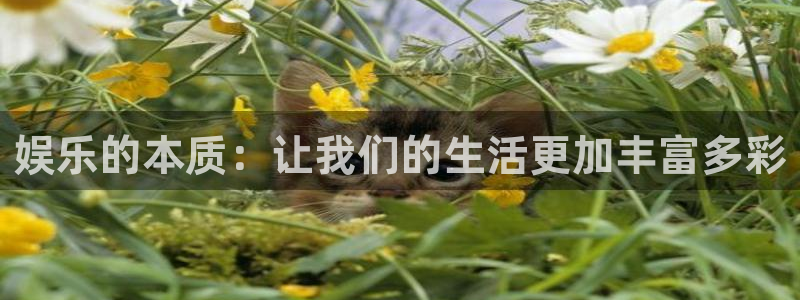 mg不朽情缘凯捷开号链接