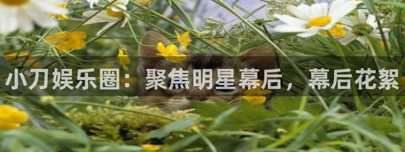 mg不朽情缘体育2