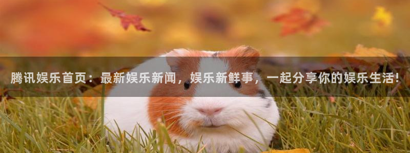 mg不朽情缘f平台注册：腾讯娱乐首页：最新娱乐新闻，娱乐新鲜事，一起分享你的娱乐