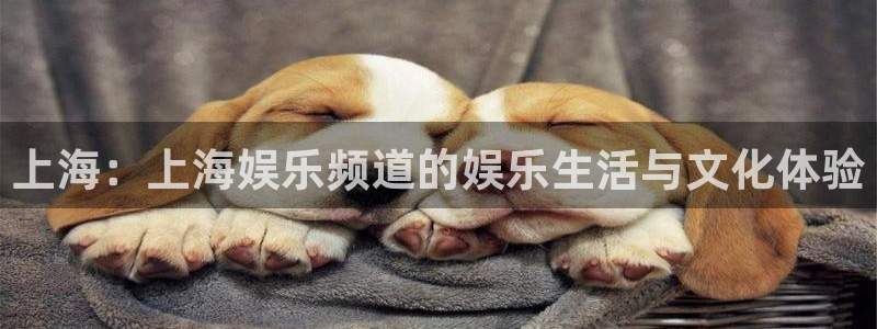 mg不朽情缘现在优惠多少：上海：上海娱乐频道的娱乐生活与文化体验