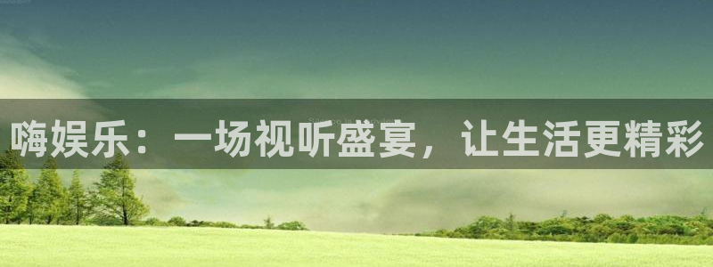 东莞市mg不朽情缘电子科技有限公司：嗨娱乐：一场视听盛宴，让生活更精彩