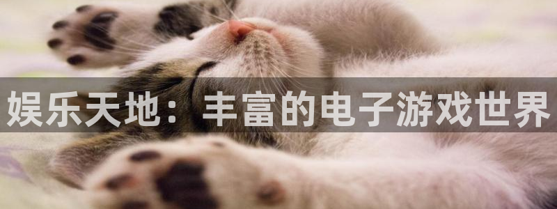 mg不朽情缘平台总代理：娱乐天地：丰富的电子游戏世界