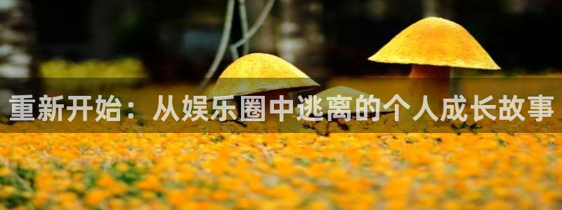 mg不朽情缘4：重新开始：从娱乐圈中逃离的个人成长故事