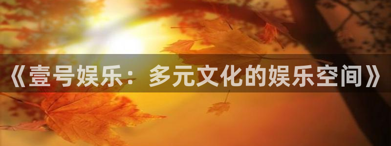 mg不朽情缘招商：《壹号娱乐：多元文化的娱乐空间》