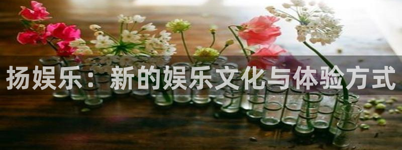 mg不朽情缘官网注册：扬娱乐：新的娱乐文化与体验方式
