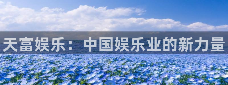 mg不朽情缘主管：天富娱乐：中国娱乐业的新力量