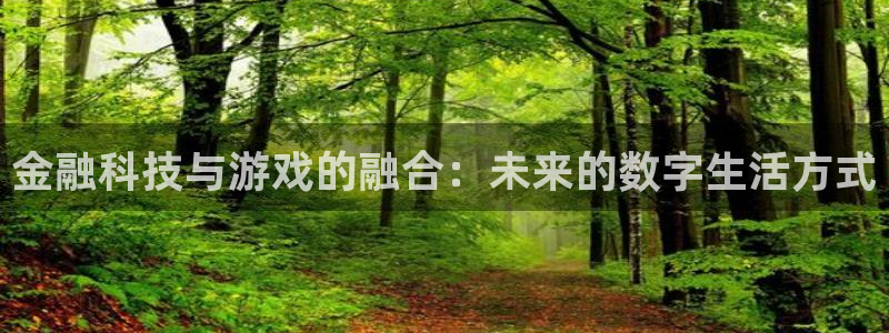 mg不朽情缘凯捷开号链接：金融科技与游戏的融合：未来的数字生活方式