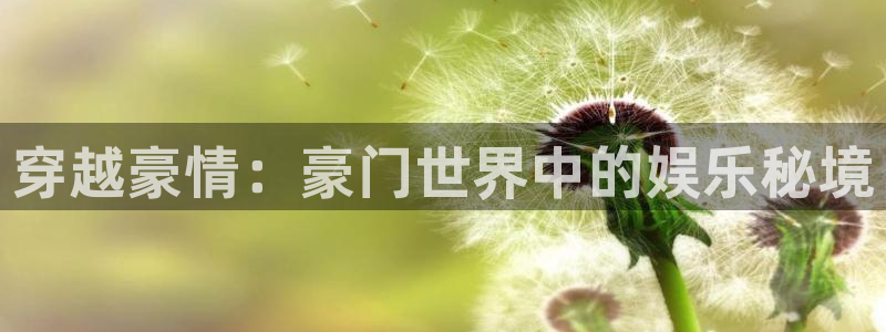 mg不朽情缘股份：穿越豪情：豪门世界中的娱乐秘境