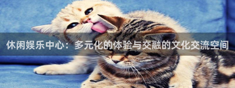 mg不朽情缘体育：休闲娱乐中心：多元化的体验与交融的文化交流空间