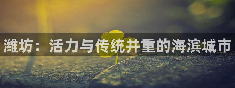 mg不朽情缘体育凯捷登陆：潍坊：活力与传统并重的海滨城市