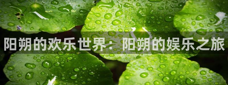 mg不朽情缘体育注册代理：阳朔的欢乐世界：阳朔的娱乐之旅