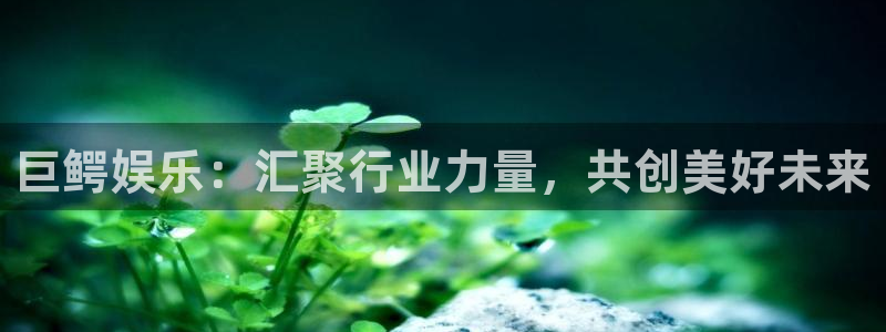 mg不朽情缘体育4：巨鳄娱乐：汇聚行业力量，共创美好未来