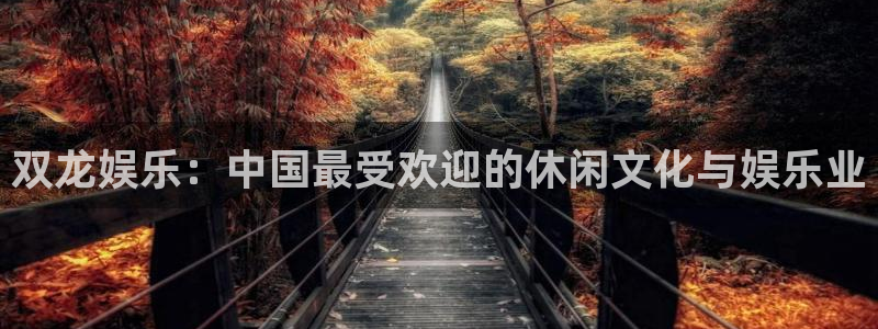 mg不朽情缘平台开户链接：双龙娱乐：中国最受欢迎的休闲文化与娱乐业