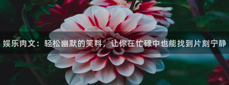 mg不朽情缘现在优惠多少：娱乐肉文：轻松幽默的笑料，让你在忙碌中也能找到片刻宁静