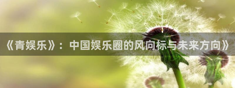 mg不朽情缘凯捷注册：《青娱乐》：中国娱乐圈的风向标与未来方向》